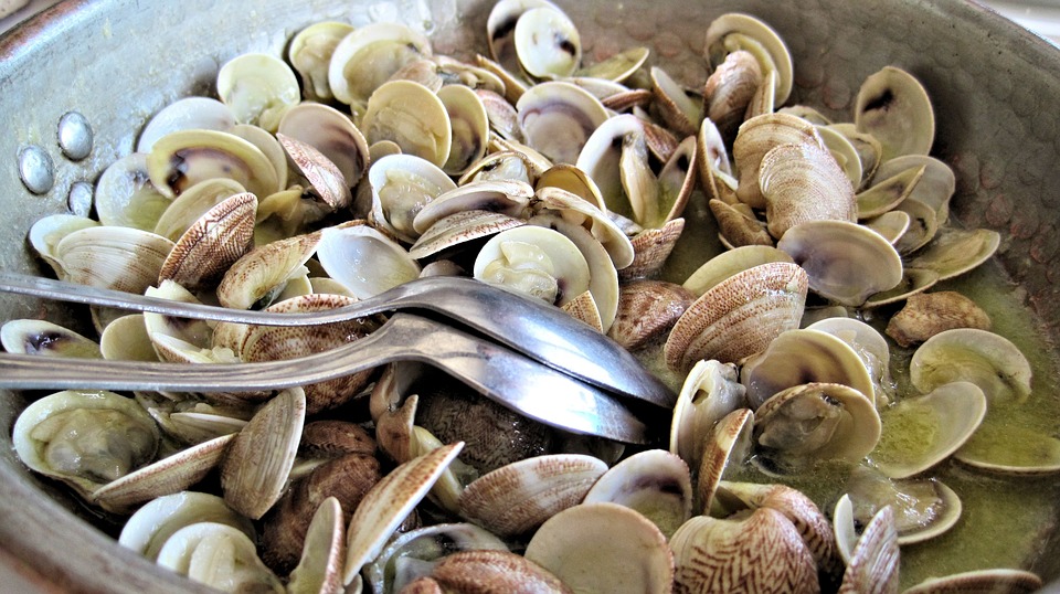 steamed-clams-603110_960_720