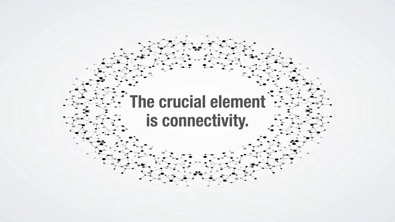 Brain connectivity and networks strengthened by language learning