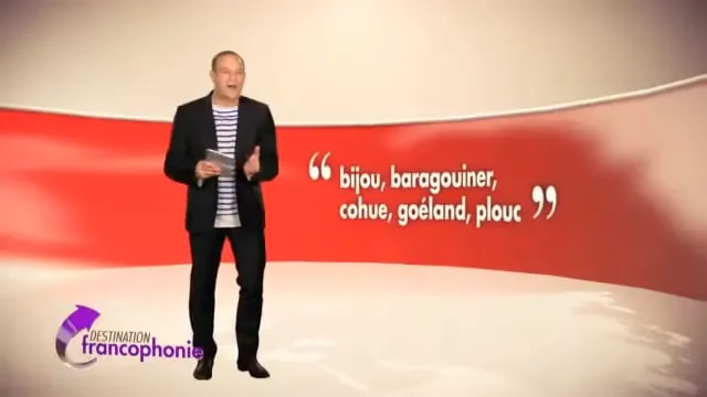 Écran rouge affichant les mots bijou baragouiner cohue goéland et plouc