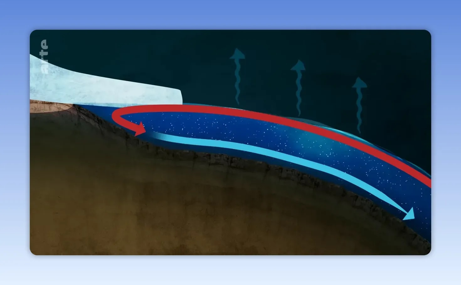 Schéma en coupe de l’océan montrant des flèches rouges et bleues pour les courants de surface et de profondeur